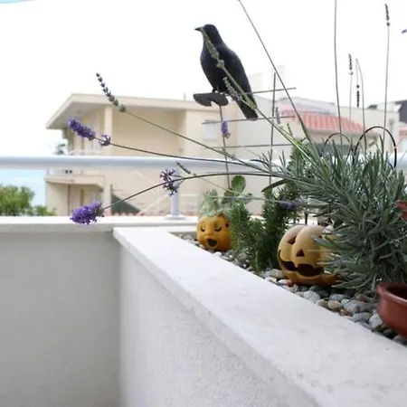 Maia'S Beach Studio Znjan Split Exterior photo